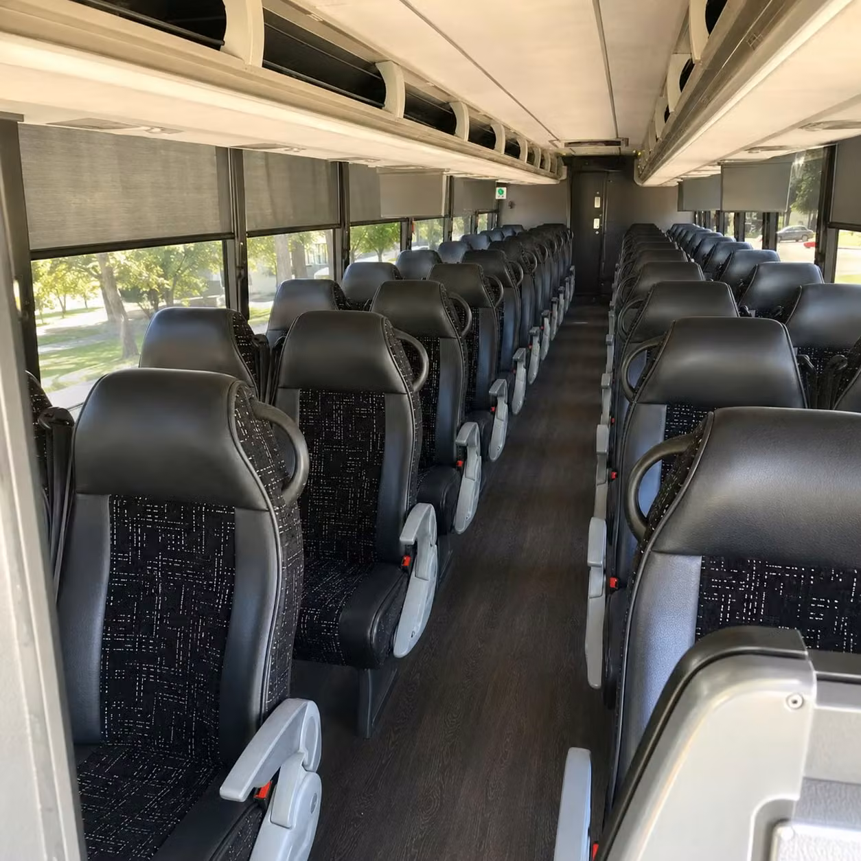 field trips to the great dismal swamp national wildlife refuge are unforgettable with a suffolk charter bus rental