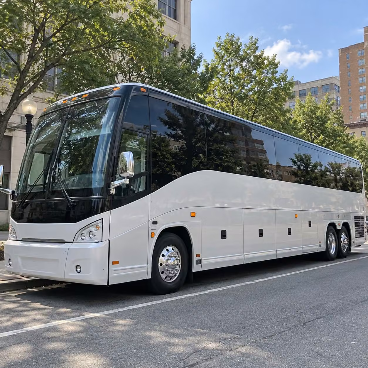 group fan transportation to norfolk tides games at harbor park
